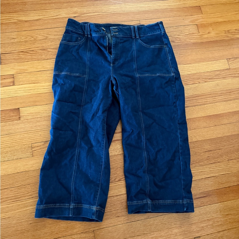 Pilcro Dark Blue Ankle Jeans